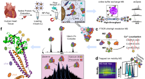 https://media.springernature.com/w290h158/springer-static/image/art%3A10.1038%2Fs41467-023-43321-z/MediaObjects/41467_2023_43321_Fig1_HTML.png