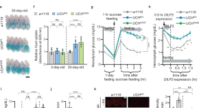 case study diabetes and insulin signaling