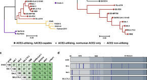 vaccine research paper covid