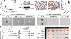 research article on cancer cells