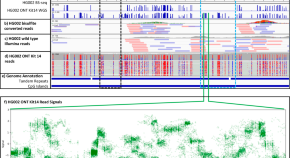 top research papers in machine learning