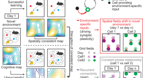 spatial memory research articles