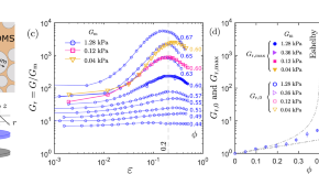 research paper on mathematical physics