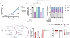 myeloid leukemia research paper