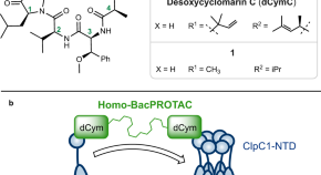 research on peptide synthesis