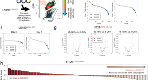 crispr gene editing research paper