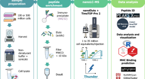 research on peptide synthesis