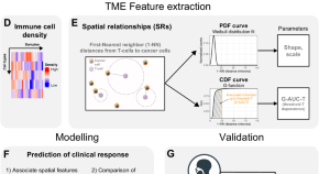 new research in cancer cell