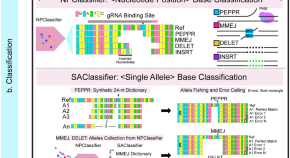 crispr gene editing research paper