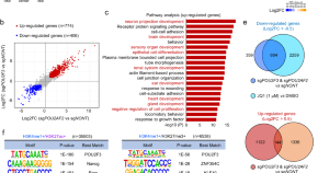 new research lung cancer