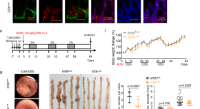 latest research in cancer