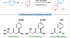 essay on organic chemistry