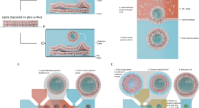 bio research products