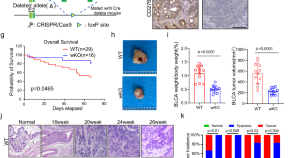 cancer research treatment paper