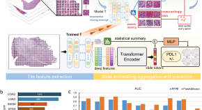 latest research paper on digital image processing