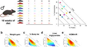 research on genetic memory