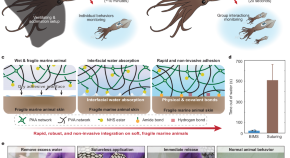 marine biology extended essay topics