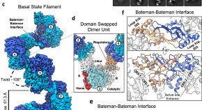 easy research paper biochemistry