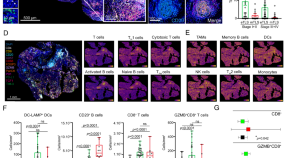 new research in cancer cell