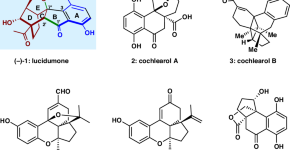 thesis on synthesis of products