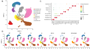 new research in cancer cell