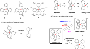 inorganic chemistry research projects