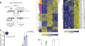 dna research paper topics