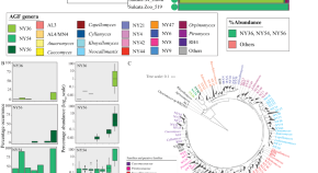 phylogenetic analysis research journal