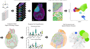 research projects in image processing