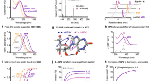 biochemistry research paper ideas