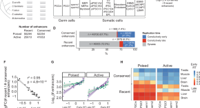 research articles on evolutionary genetics