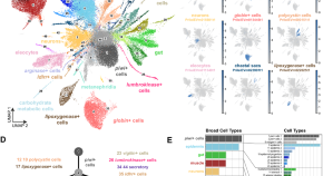 anti stem cell research articles