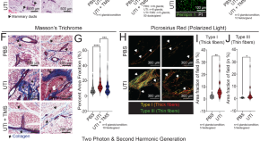 molecular biology dissertation topics