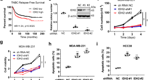 cancer research latest findings