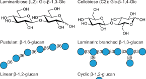 biochemistry research in new zealand