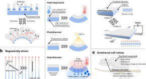 thesis topics for biomedical engineering