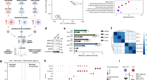 stem cell research resource paper