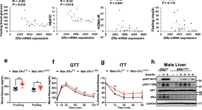 recent type 2 diabetes research