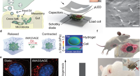 nanotechnology related thesis topics