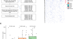 cancer research latest findings