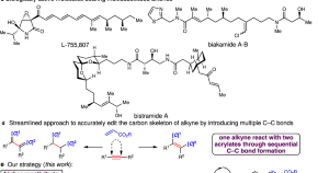 essay about organic chemistry