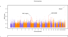 research articles on evolutionary genetics