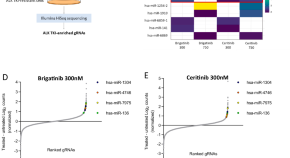 cancer research latest findings