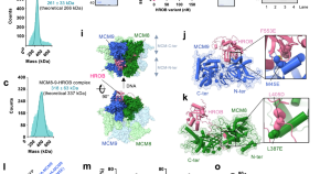 discovery of dna research paper