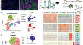 cancer research latest findings