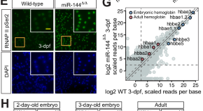 research papers on zebra research papers on zebra