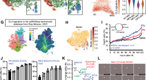 cancer research latest findings