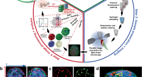 latest research paper on cancer