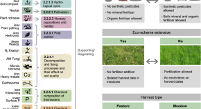 example of research title of agriculture