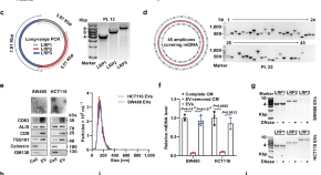 colorectal cancer research